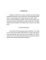 Referāts 'Barbarismi un žargonismi skolēnu valodā', 7.