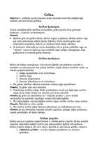 Konspekts 'Spējas un dotības. Griba. Motivācija. Lēmuma pieņemšana. Vajadzības', 6.