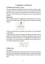 Referāts 'Ķermeņa valoda', 11.