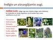 Prezentācija 'Gundegu dzimta', 8.