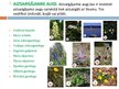 Prezentācija 'Gundegu dzimta', 9.