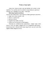 Prakses atskaite 'Ārzemju prakse viesnīcā "Hilton Rhodes Resort"', 11.