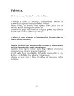 Konspekts 'Selekcija', 2.
