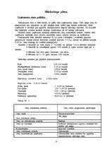 Biznesa plāns 'SIA "Ezerzeme"', 10.