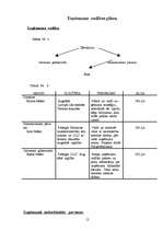 Biznesa plāns 'SIA "Ezerzeme"', 12.