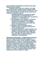 Referāts 'Krāsas', 13.