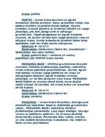 Referāts 'Krāsas', 20.