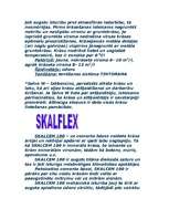 Referāts 'Krāsas', 23.