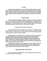 Prakses atskaite 'Rekl.āmas aģentūra "ARBO Dizains"', 3.