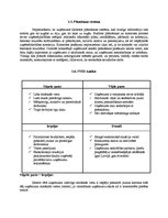 Prakses atskaite 'Rekl.āmas aģentūra "ARBO Dizains"', 5.