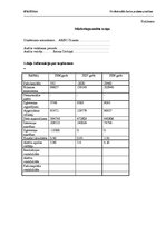 Prakses atskaite 'Rekl.āmas aģentūra "ARBO Dizains"', 11.