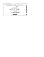 Konspekts 'Hromatogrāfija', 30.