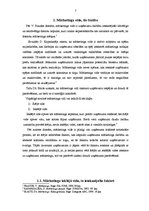 Referāts 'Mārketinga vides analīze un uzņēmuma SIA "X" darbības pilnveide', 7.