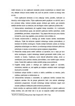 Referāts 'Mārketinga vides analīze un uzņēmuma SIA "X" darbības pilnveide', 9.