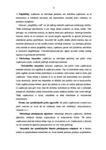 Referāts 'Mārketinga vides analīze un uzņēmuma SIA "X" darbības pilnveide', 11.