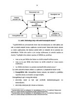 Referāts 'Mārketinga vides analīze un uzņēmuma SIA "X" darbības pilnveide', 14.