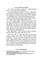 Referāts 'Mārketinga vides analīze un uzņēmuma SIA "X" darbības pilnveide', 17.