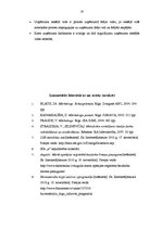 Referāts 'Mārketinga vides analīze un uzņēmuma SIA "X" darbības pilnveide', 37.