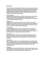 Referāts 'Budisms', 4.