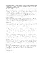 Referāts 'Budisms', 8.