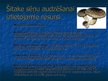 Prezentācija 'Sēņu audzēšanas resursu izlietojuma analīze', 2.