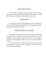 Prakses atskaite 'Akadēmiskā slimības vēsture', 3.