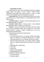 Referāts 'Komercdarbības formu salīdzinošie plusi un mīnusi', 2.