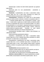 Referāts 'Komercdarbības formu salīdzinošie plusi un mīnusi', 4.