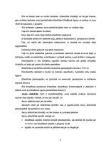 Referāts 'Komercdarbības formu salīdzinošie plusi un mīnusi', 5.