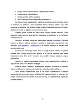 Referāts 'Komercdarbības formu salīdzinošie plusi un mīnusi', 7.