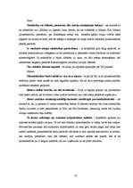 Referāts 'Komercdarbības formu salīdzinošie plusi un mīnusi', 13.