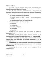 Biznesa plāns 'SIA "Spēks un veselība" - sporta klubs', 14.