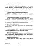 Biznesa plāns 'SIA "Spēks un veselība" - sporta klubs', 29.