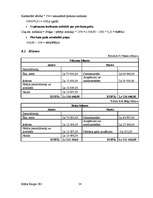 Biznesa plāns 'SIA "Spēks un veselība" - sporta klubs', 38.