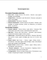 Konspekts 'Dendroloģiskā taka', 1.