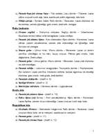 Konspekts 'Dendroloģiskā taka', 2.