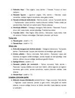 Konspekts 'Dendroloģiskā taka', 3.