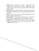 Konspekts 'Dendroloģiskā taka', 6.