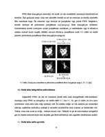 Referāts 'Četru viļņu mijiedarbe šķiedru optikas pārraides sistēmās', 15.