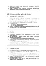 Konspekts 'Ekonomikas pamati un tirgus mehānismi', 19.