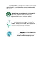 Referāts 'Kas ir ekodizains', 6.