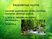 Prezentācija 'Tropu mežu ekosistēma', 13.