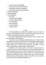 Referāts 'Populārākās apdrošināšanas kompānijas Latvijā', 10.