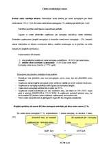 Referāts 'Kartupeļu cietes ražošana un realizācija Latvijā 2001. - 2006.gadā', 8.