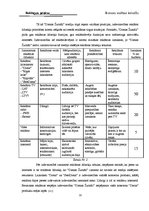 Prakses atskaite 'Reklāmas prakses atskaite', 17.