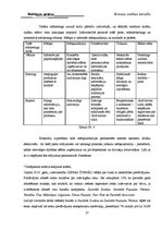 Prakses atskaite 'Reklāmas prakses atskaite', 26.