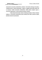 Prakses atskaite 'Reklāmas prakses atskaite', 29.