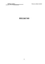 Prakses atskaite 'Reklāmas prakses atskaite', 30.