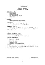 Biznesa plāns 'SIA “In da Hood”', 11.