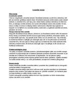 Konspekts 'Uzmanības teorijas', 1.